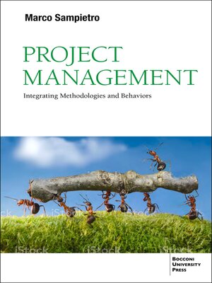 cover image of Project Management